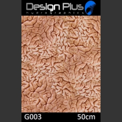 Design  G003